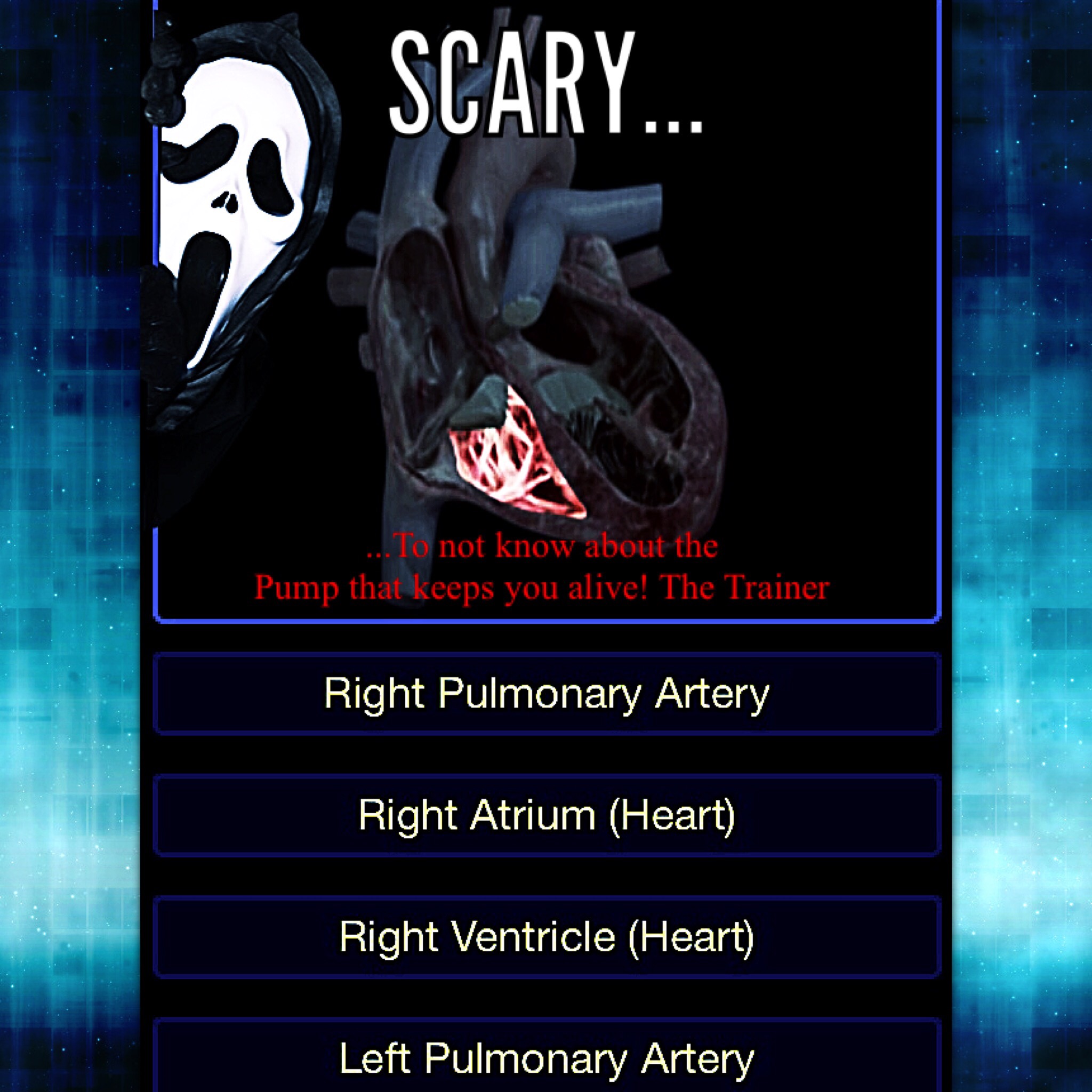 Do you know about your amazing heart? The Trainer 