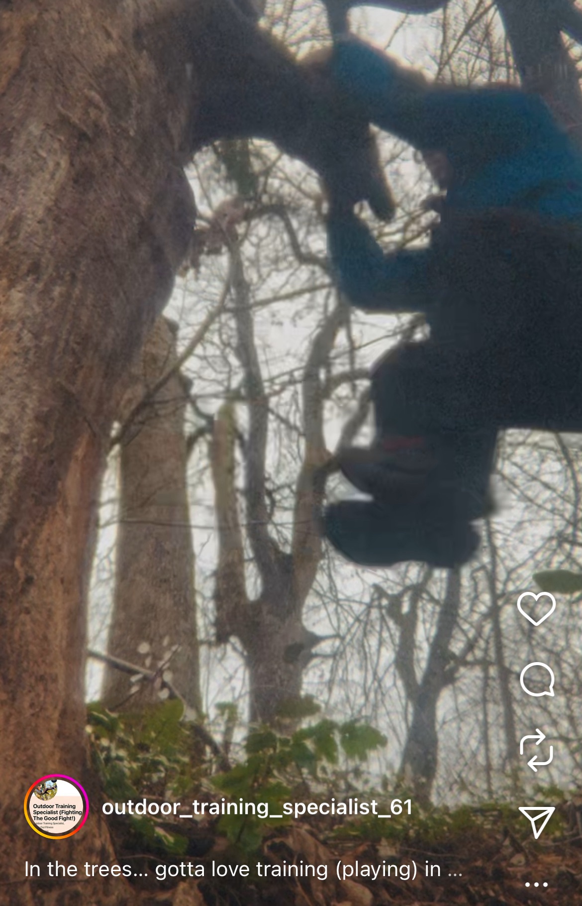 In the trees… gotta love training (playing) in trees, especially here in the PNW!