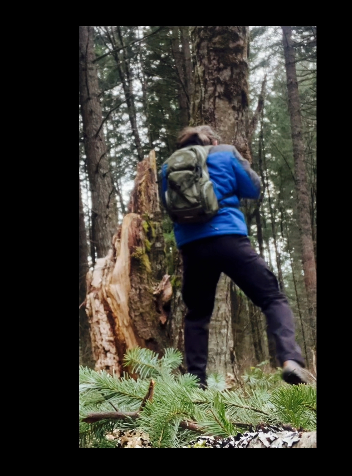“Man vs. Trees!” – “The” Trainer Outdoor Training Specialist /Consultant- @61!/15 yr. experience as RN in CCU