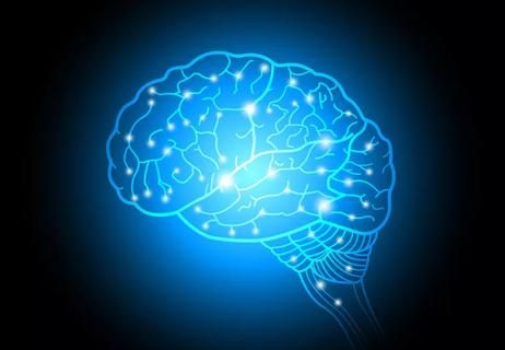 What role does the mind have when performing physical activities? — “The” Trainer
