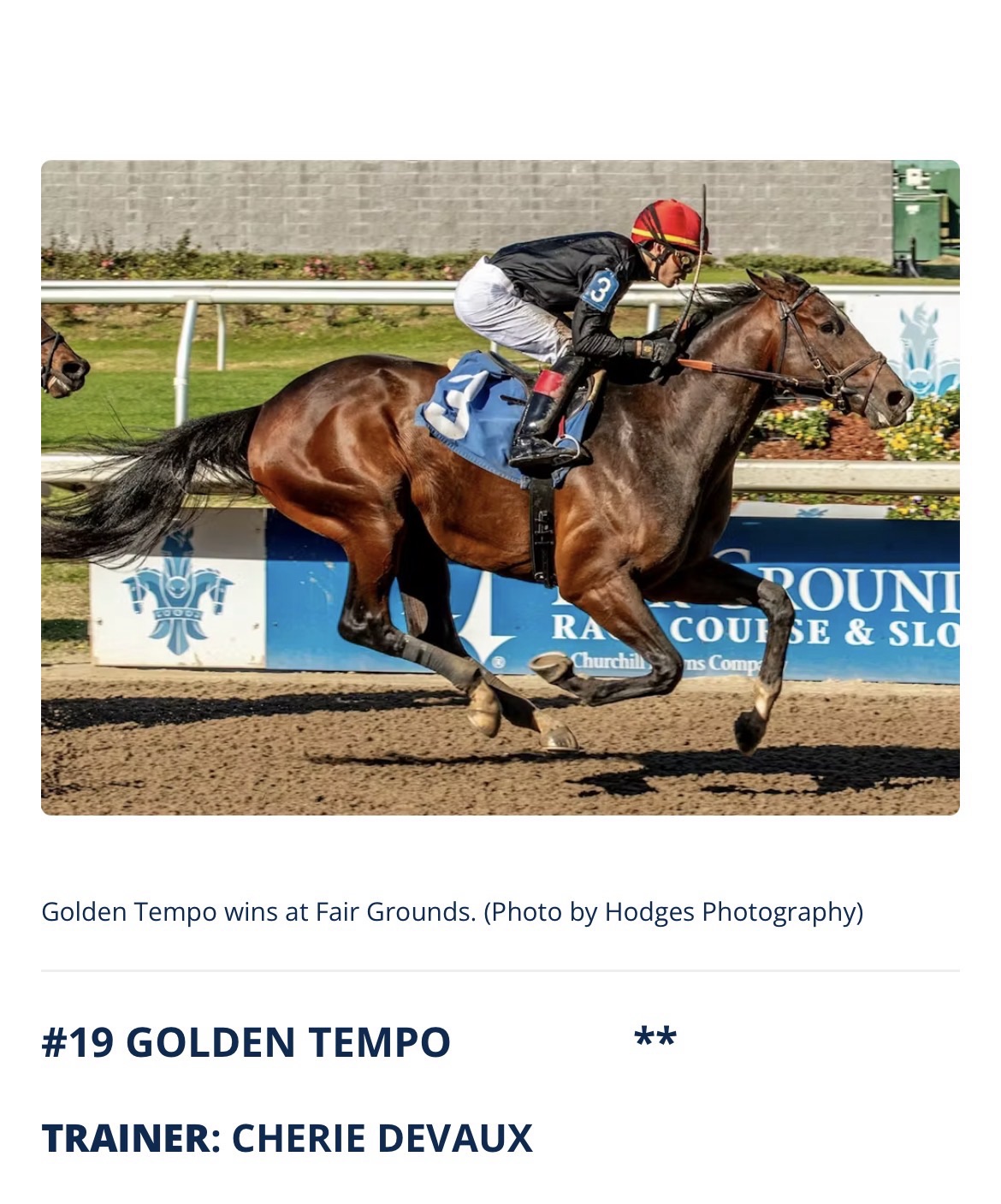 CLARIFICATION: “Golden Tempo” (23-1 odds) won the Kentucky Derby and not Renegade! First female trainer to win Kentucky Derby! Congratulations!