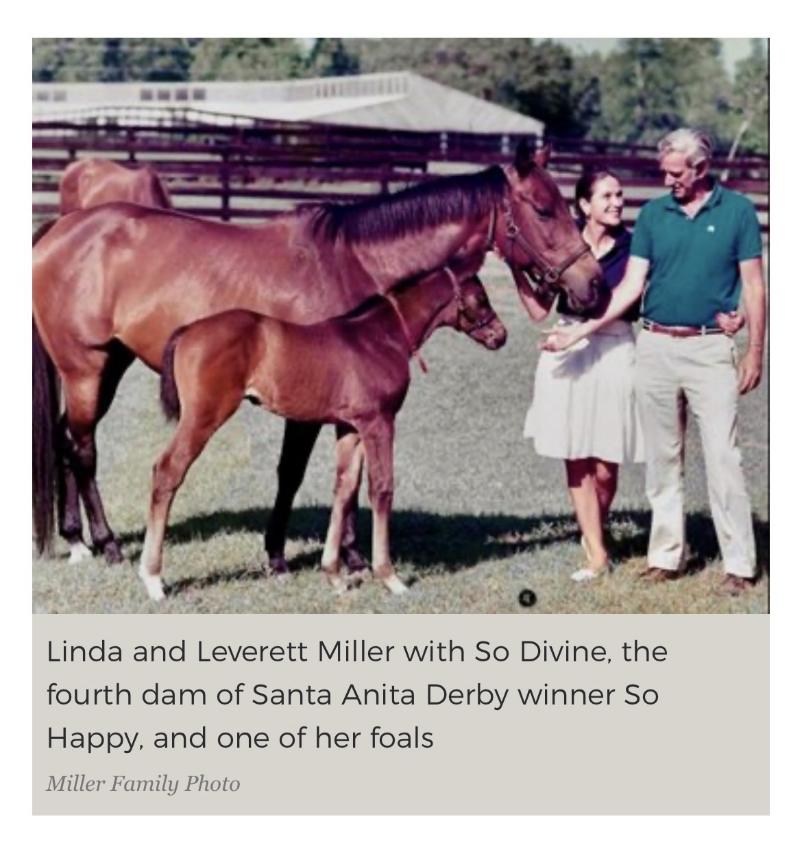 The 48-Year Love Story That Produced So Happy
