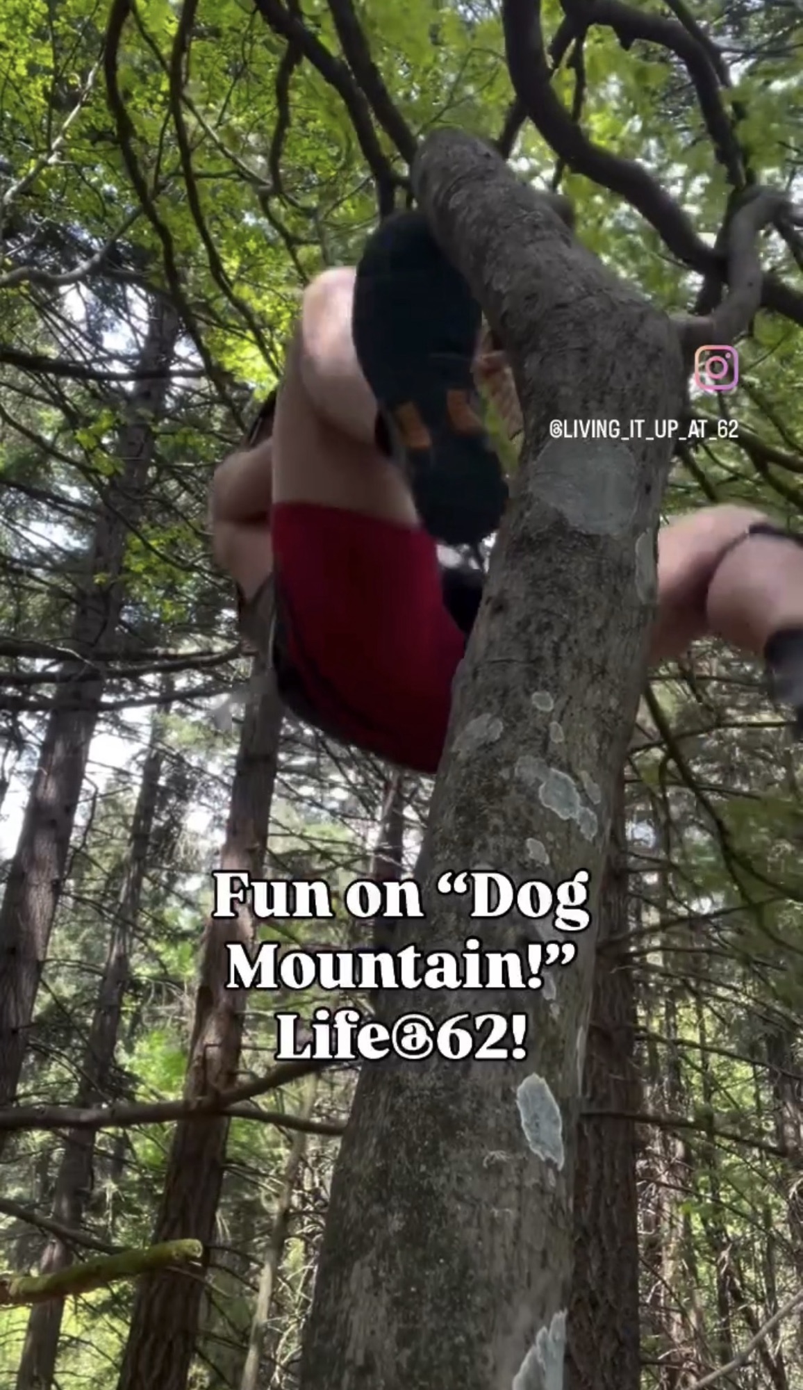 Fun on Dog Mountain! – Life@62!