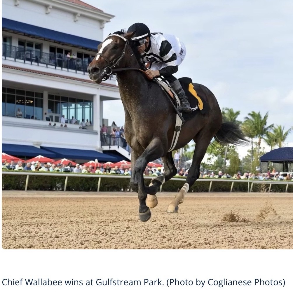 My pick for the 2026 Kentucky Derby “The Puma” has been scratched! My new choice is “Chief Wallabee!”&nbsp;–&nbsp;