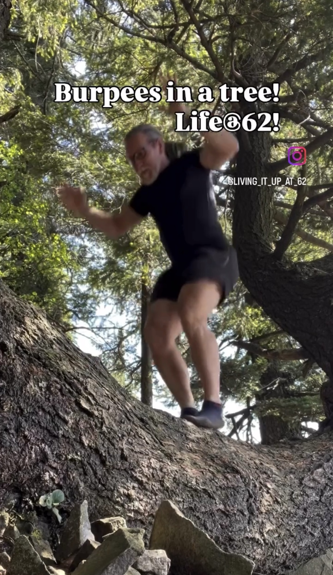 Burpees in a tree! Life@62!