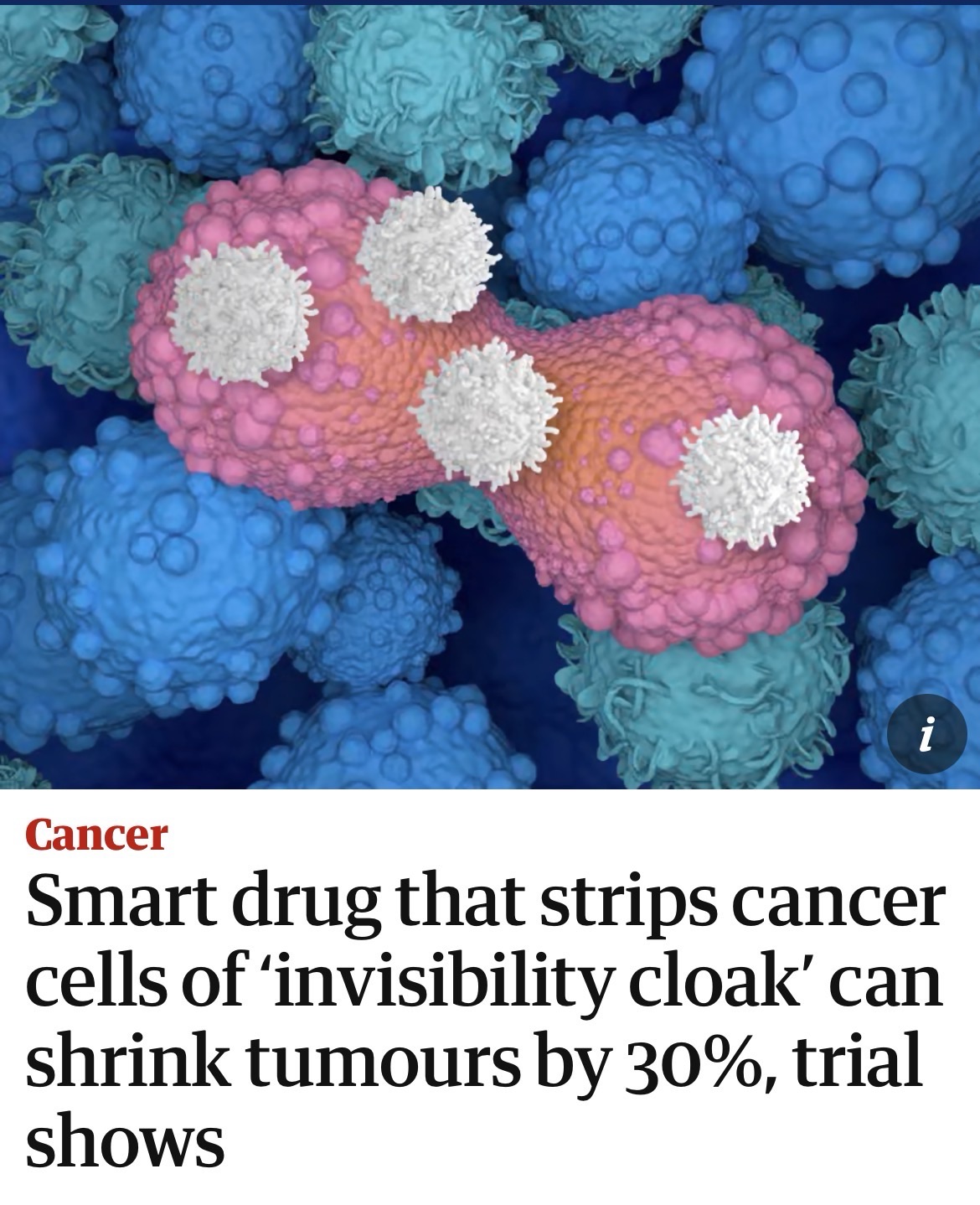 Smart drug that strips cancer cells of ‘invisibility cloak’ can shrink tumours by 30%, trial shows