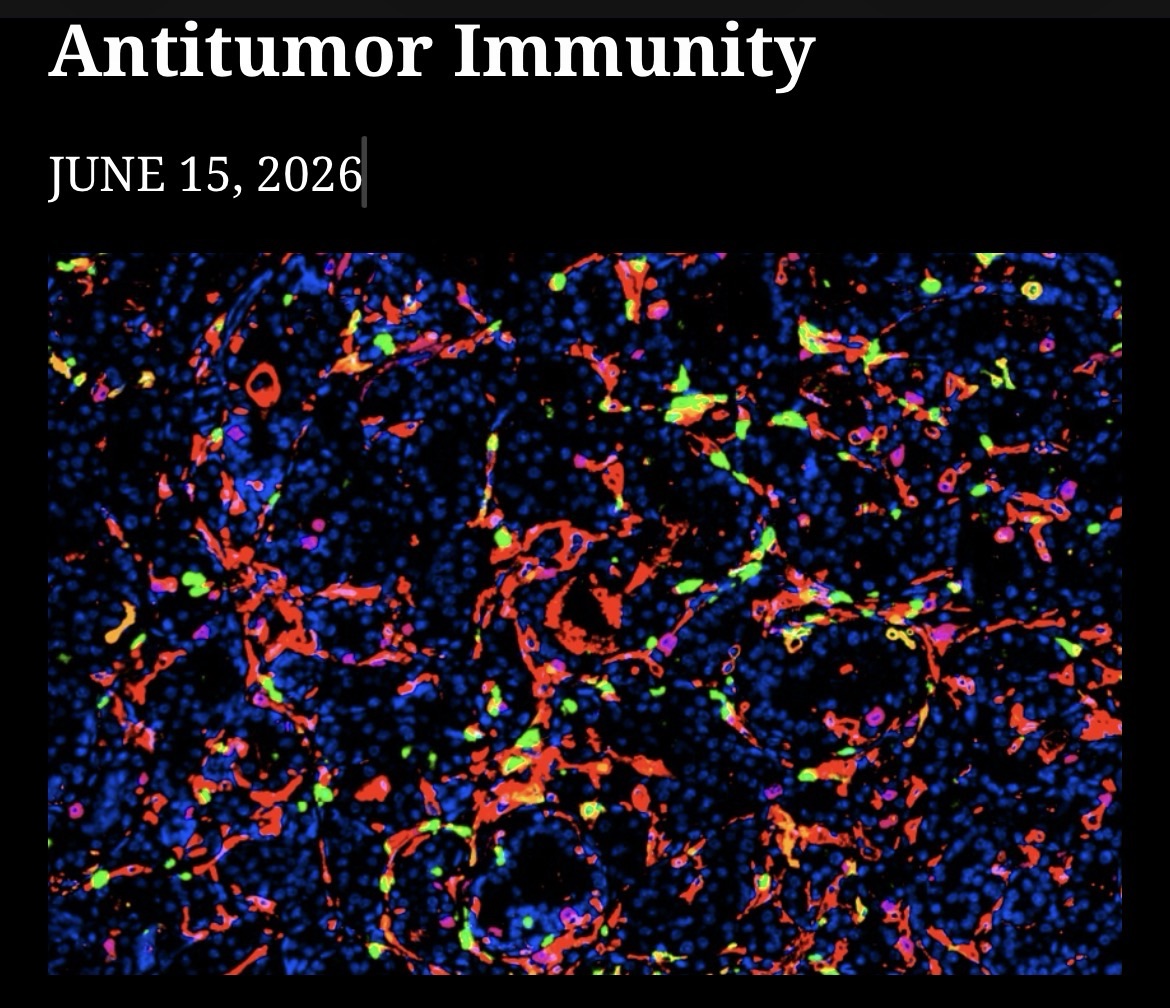 Experimental Treatment Directly Kills Prostate Tumor Cells While Reawakening Antitumor Immunity