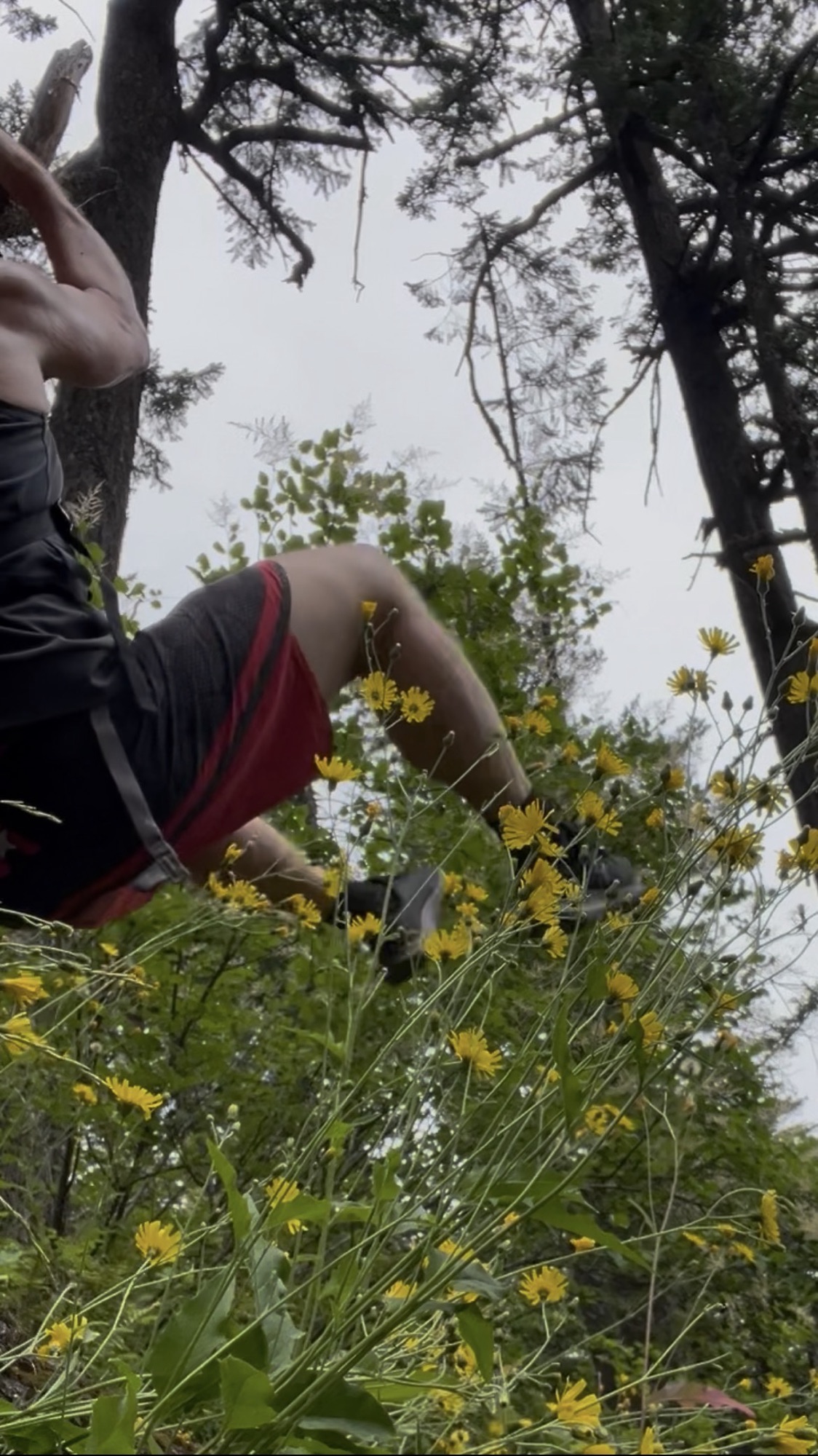 Hang on and move! Life@62! #outdoorstraining #functionaltrainingoutside #outsidetraining #outdoorstrainingspecialist