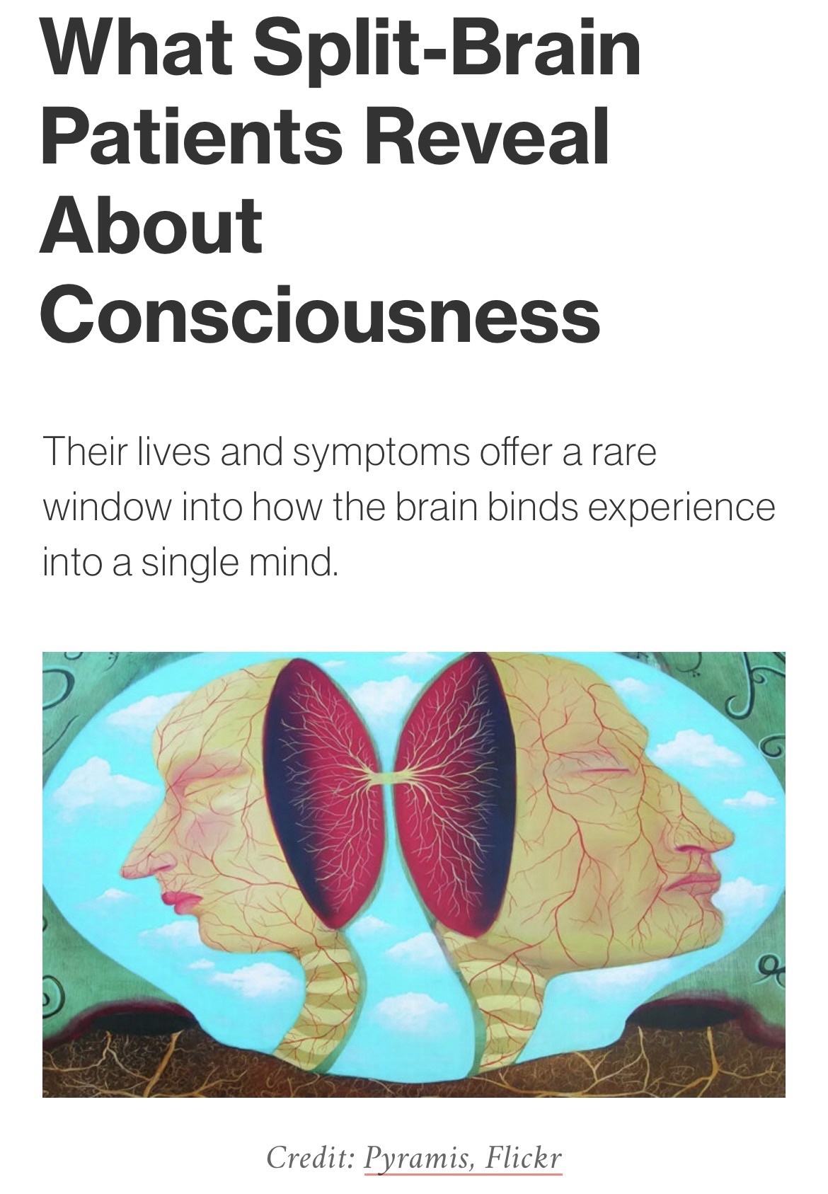 What Split-Brain Patients Reveal About Consciousness